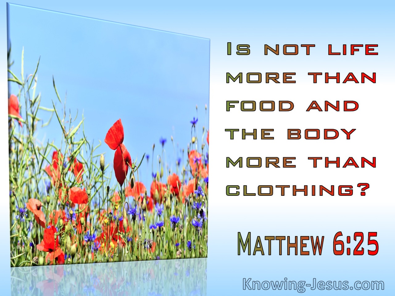 Matthew 6:25 Is Not Life More Than Food And The Body Than Clothing (red)